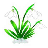 ikon logotyp blomma png