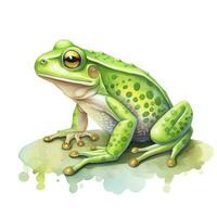 AI generated Watercolor green frog on white background.  AI Generated photo