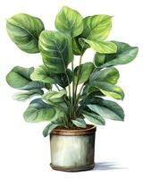 AI generated Watercolor potted houseplant isolated on white background. AI Generated photo