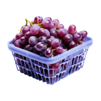 AI generated grapes in a basket on transparent background PNG image