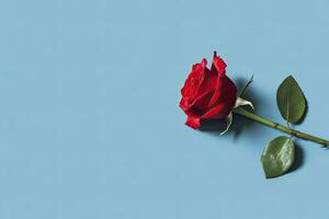 AI generated Red rose flower on blue background. Romantic Valentine's holiday concept. AI Generated photo