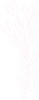 Hand drawn pink branch with leaves png