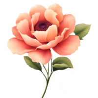 AI generated Gentle Pink Rose Isolated Hand Holding a PNG Flower on a Transparent Background With Green Leaf in Branch