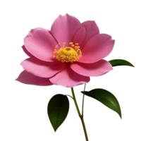 AI generated A pink flower with leaves on a transparent background PNG free file