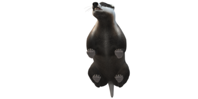 Badger isolated on a Transparent Background png