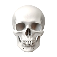 AI generated 3D Rendering of a Human Skull on Transparent Background - Ai Generated png