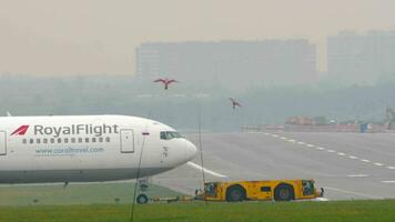 MOSCOW, RUSSIAN FEDERATION - JULY 30, 2021. Middle shot, tug pulling Boeing 767 Royal Flight aircraft at Sheremetyevo airport, side view. Airplane on the airfield video