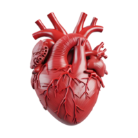 AI generated 3D Rendering of a Human Heart on Transparent Background - Ai Generated png