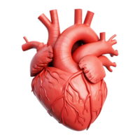 ai generado 3d representación de un humano corazón en transparente antecedentes - ai generado png