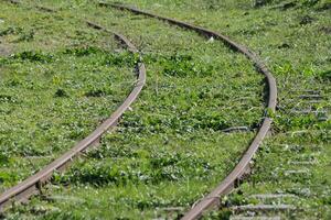 abandonado tren pistas con plantas creciente en ellos foto