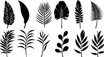 Set of black silhouettes of tropical leaves palms, trees. Vector. AI generated illustration. vector