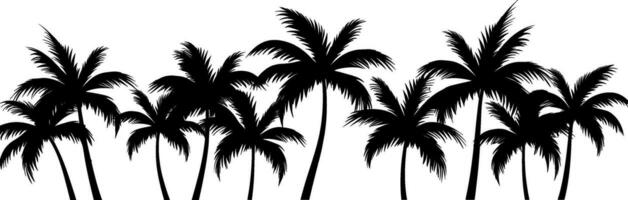 Tropical palm tree on white background, Vector design. AI generated illustration.