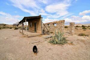 an old abandoned house in the desert with a dog standing in front of it photo