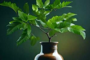 ai generado un pequeño planta en un florero en un mesa foto