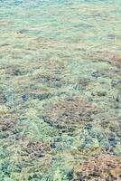 a view of the ocean and coral reefs from above photo