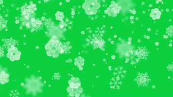 Different types of Christmas snowflakes falling randomly animation overlay effect on green screen background video