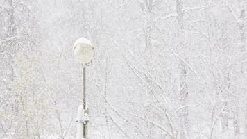 old lamp post under winter blizzard at snowy day on blurred forest background video
