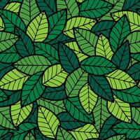 Leafs Seamless Pattern Spring vector