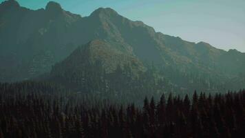 une vue de une Montagne intervalle avec des arbres dans le premier plan video