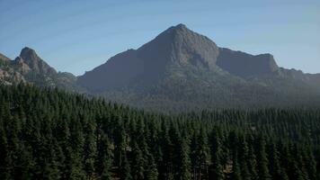 une vue de une Montagne intervalle avec des arbres dans le premier plan video