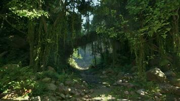 A scenic dirt road winding through the breathtaking landscapes of New Zealand video