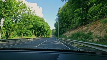 Visualizza di il auto su il strada nel il foresta. pov Visualizza di il auto autista su il strada nel il foresta. video