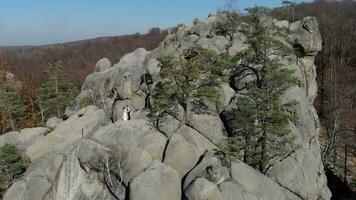 Wedding day of the newlyweds on the rocks. Flying a drone around a young couple who is standing on the rocks. video