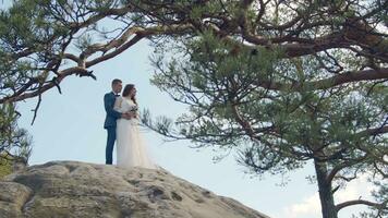 un contento Pareja de novias estar en el montaña con su espaldas a el cámara y Mira dentro el distancia a el montañas cubierto con arboles mirando dentro el futuro de un joven Pareja en amor. video