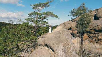 Boda Pareja en montaña rock desde zumbido. aéreo ver contento recién casados en amor abrazando en pie en parte superior de el montaña. video