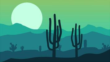 Sunset Nature Landscape And Cacti video