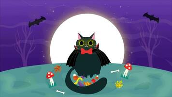 vampyr katt tar Allt de socker halloween animering video
