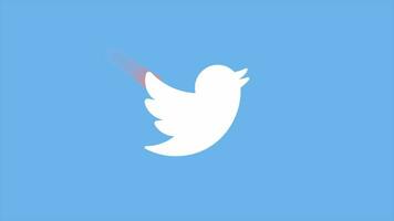 Twitter Follow Us Social Media Logo Animation video