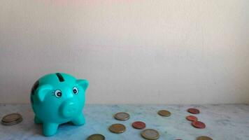 Feeding the piggy bank with euro coins video