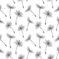 Seamless pattern, flying fluffy dandelion seeds. Background, print, textile, vector