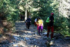 CARPATHIAN MOUNTAINS, UKRAINE - OCTOBER 8, 2022 Mount Hoverla. Carpathians in Ukraine in autumn photo