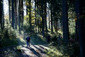 CARPATHIAN MOUNTAINS, UKRAINE - OCTOBER 8, 2022 Mount Hoverla. Carpathians in Ukraine in autumn photo