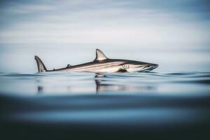 ai generado genial blanco tiburón posando en el profundo azul agua. neural red ai generado foto