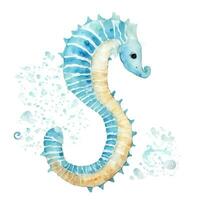 AI generated seahorse isolated watercolor graphics photo