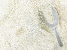 Top view heap of white sesames with aluminium scoop background and wallpaper. White sesames rich on oil and protein with many types of antioxidants and vitamins with nutrients in rich value. photo