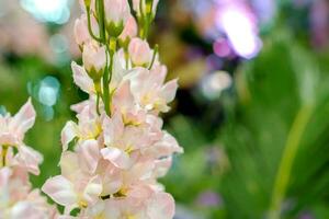 Closeup fabric pink flower on blurry green nature background. photo