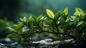 AI generated A plant with water droplets on it photo