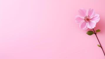 AI generated pink flower on a pink background photo