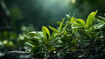 AI generated A plant with water droplets on it photo