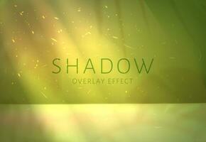 Spring green background with bokeh effect. Transparent shadow effect. Shadows from leaves. Vector illustration. Eps 10