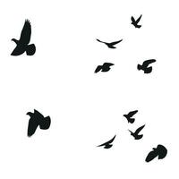 Silhouette sketch of a flock of flying birds, flight in different positions. Hover, soaring, landing, flying, flutter vector