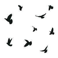 Silhouette sketch of a flock of flying birds, flight in different positions. Hover, soaring, landing, flying, flutter vector