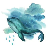 Blue, turquoise whale with clouds, raindrops and blue sky. Watercolor illustration hand drawn in childish simple style. Isolated composition on a white background vector eps