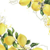 Lemons are yellow, juicy, ripe with green leaves, flower buds on the branches, whole and slices. Watercolor, hand drawn botanical illustration. Frame, template on a white background vector