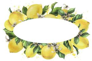 Lemons are yellow, juicy, ripe with green leaves, flower buds on the branches, whole and slices. Watercolor, hand drawn botanical illustration. Frame, template on a white background vector