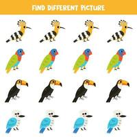 Find different bird in each row. Logical game for preschool kids. vector